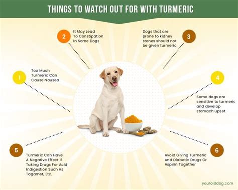 It can help fight diseases like arthritis, diabetes, cancer, liver disease, gastrointestinal issues and more. . Can turmeric shrink tumors on dogs
